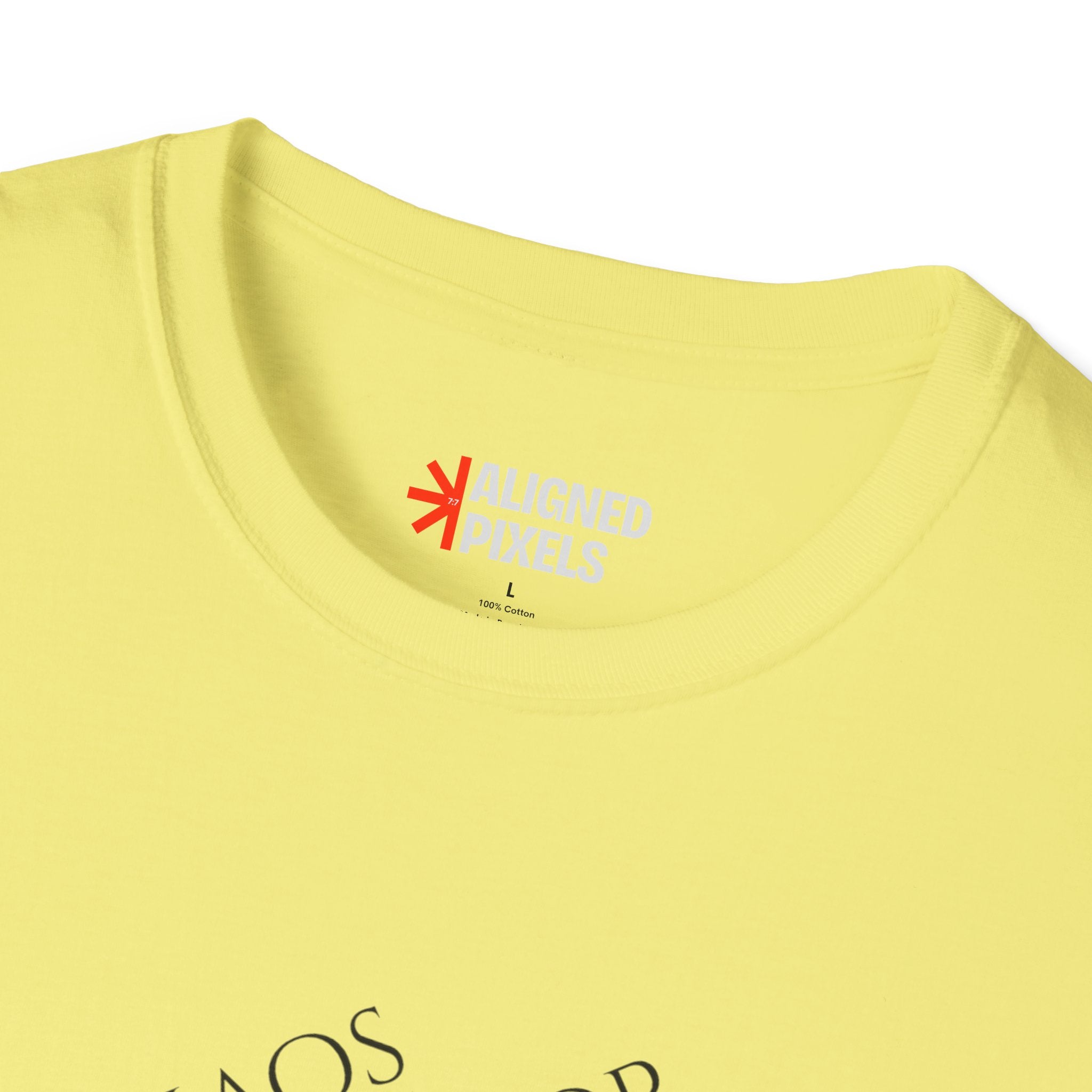 Chaos Coordinator T-Shirt — Cute Melted Ice Cream Graphic Tee