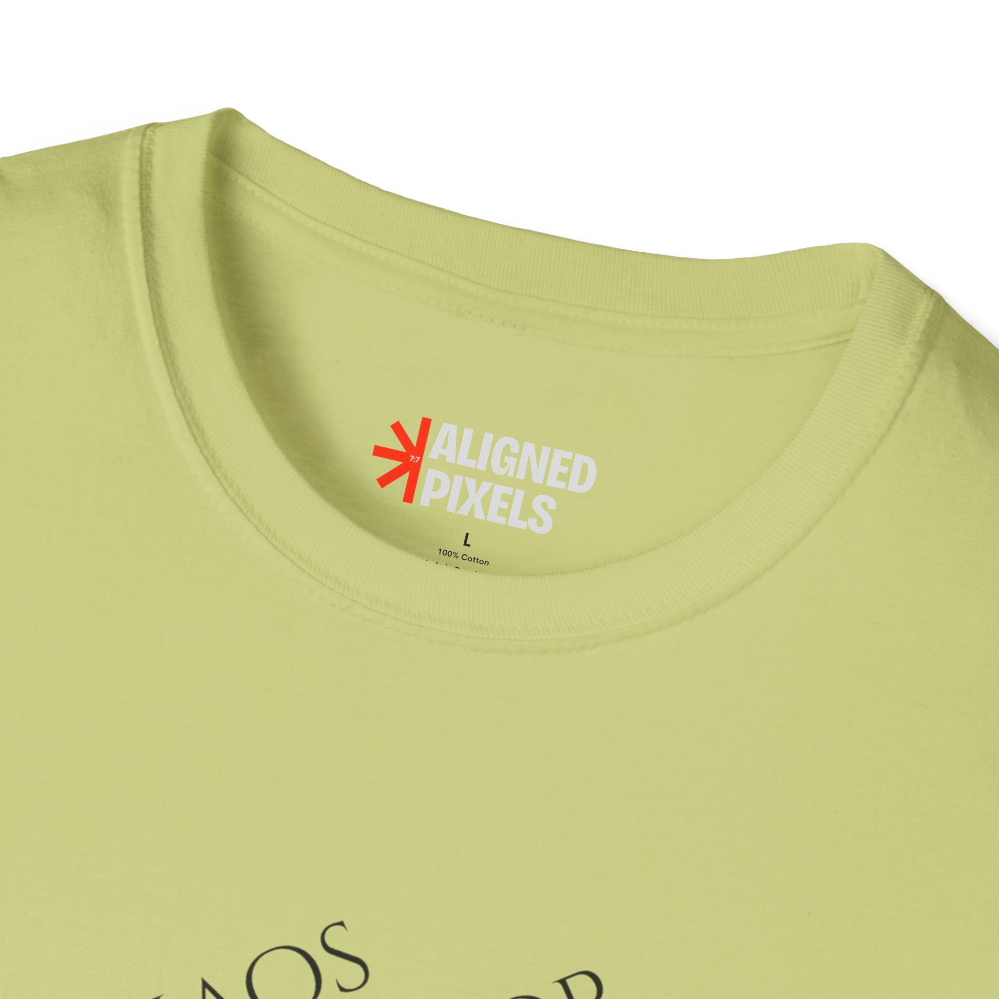 Chaos Coordinator T-Shirt — Cute Melted Ice Cream Graphic Tee