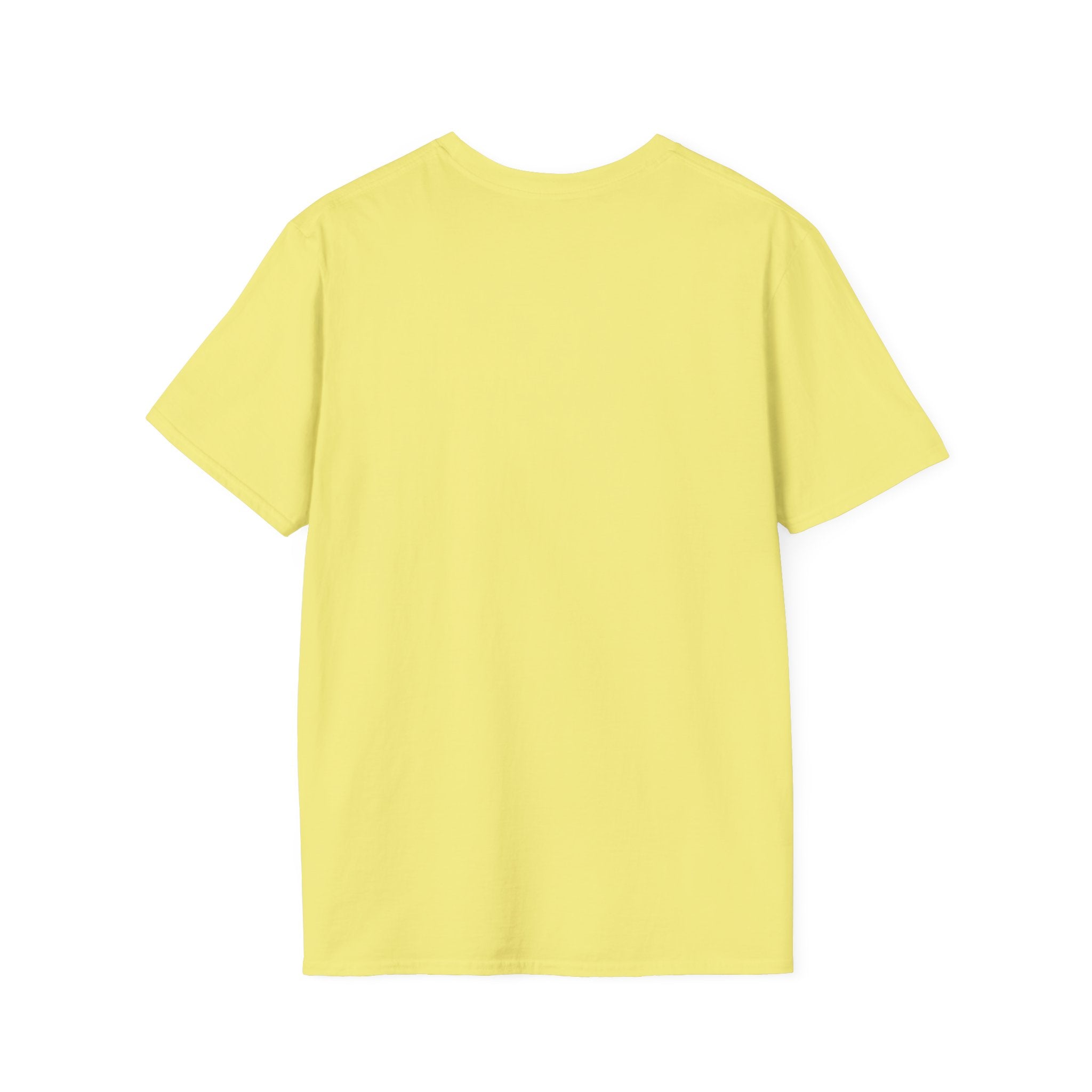 Chaos Coordinator T-Shirt — Cute Melted Ice Cream Graphic Tee